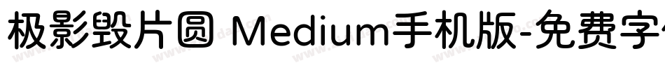 极影毁片圆 Medium手机版字体转换